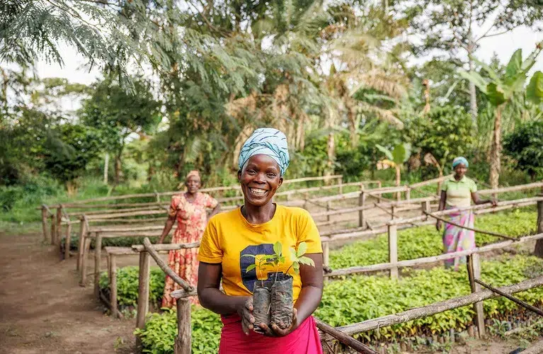 kvouts klimaprojekt.uganda 1